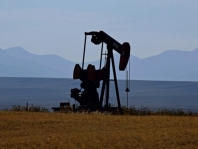 Oil prices rose based on Chinese markets increase 