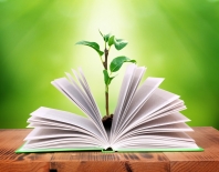 Ethical Investing In Canada Has Soared