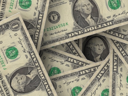 US dollar has a limited growth against rivals 