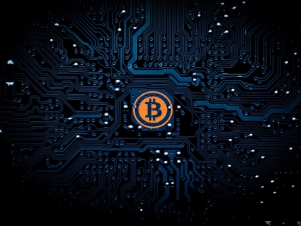 Bitcoin Price Starts a Panic Among Cryptocoin Enthusiasts